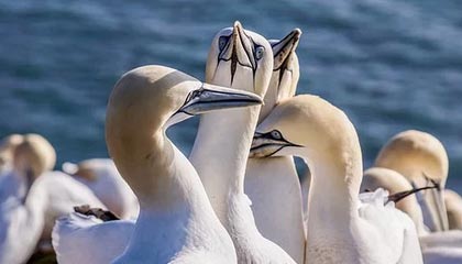 江苏公安代表队获第七届阿联酋世界特警挑战赛季军|射击|江苏省|南京市|极限|比赛_新浪新闻