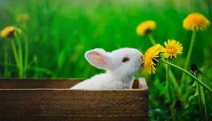 开云官网-这球可惜！C罗精彩凌空弹射，但皮球击中横梁